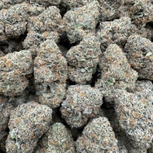 Bazooka - licensed indoor