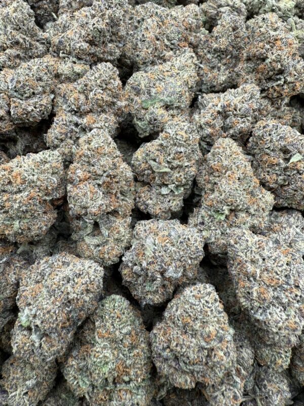 Bazooka - licensed indoor