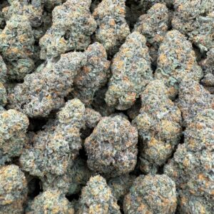 Fuelato - licensed indoor