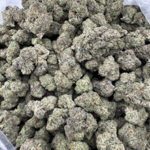 Gumbo exotic ⛽️
