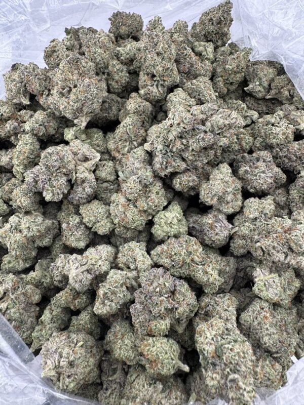 Gumbo exotic ⛽️