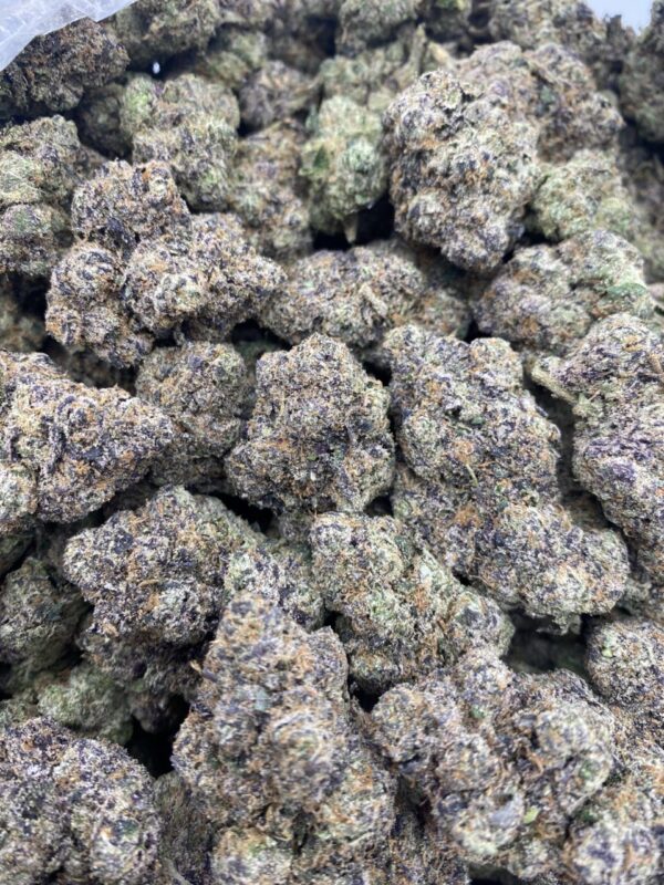 Blue Dream -Licensed branded Indoor 💤