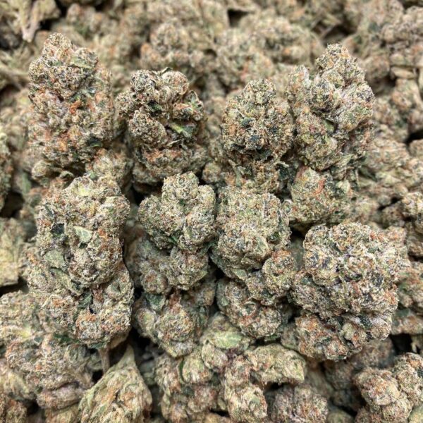 Oreoz 🔥