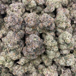 Galactic warheadz - indoor