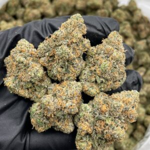Candy Tangerine indoors 🍭🍊  Unique bubble gum citrus