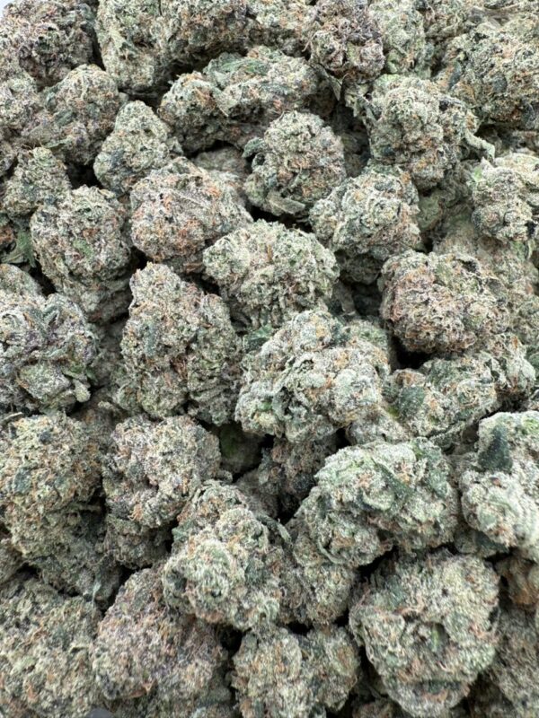 Code red - licensed indoor