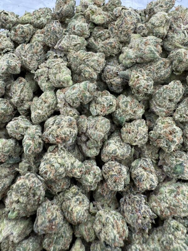 Cherry gumbo sm 🔥