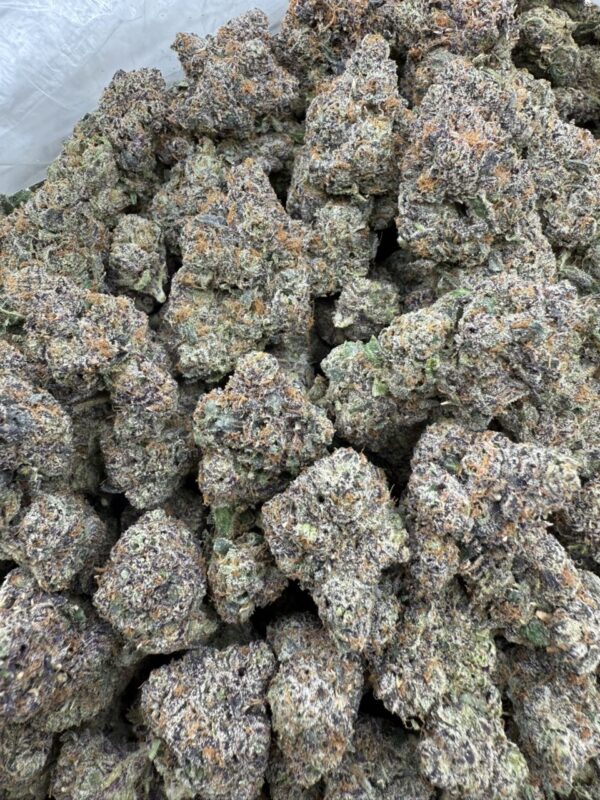 Animal mints 🔥