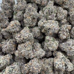 Street fighter - licensed exotic 🔥