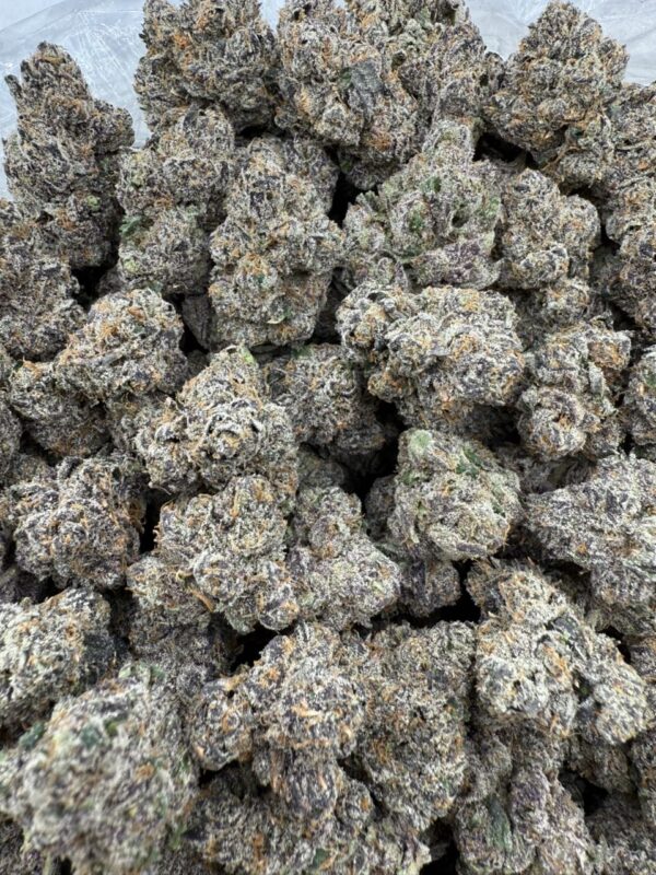 Street fighter - licensed exotic 🔥