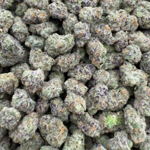 Versace sm - licensed indoor🔥