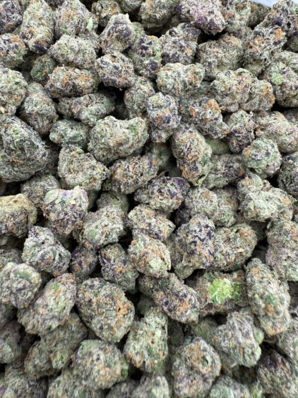 Versace sm - licensed indoor🔥