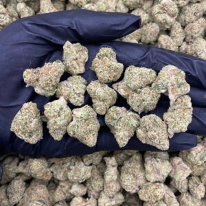 Skittlez N Cream - indoor smalls 🍬🍦