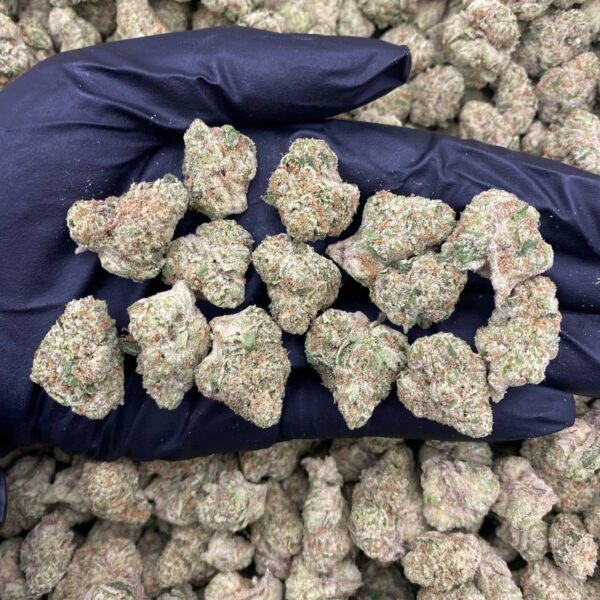 Skittlez N Cream - indoor smalls 🍬🍦